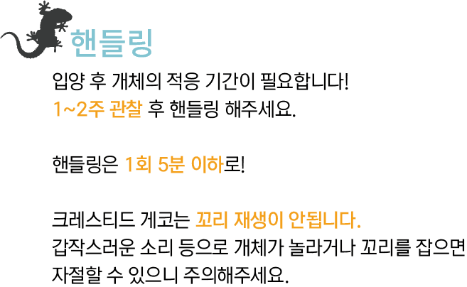 사육정보 - 이미지 1